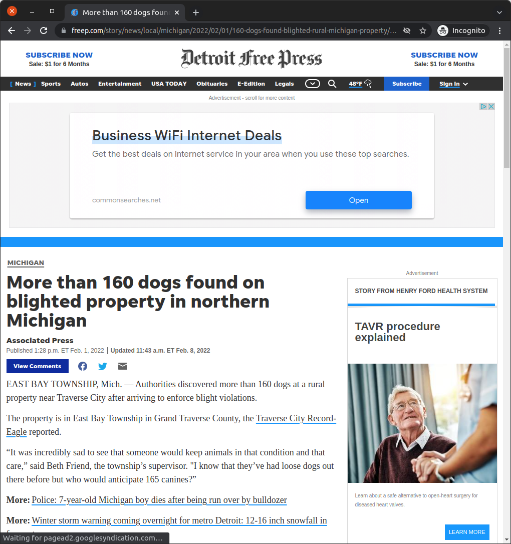 Screenshot of a Detroit Free Press article. Title reads: "More than 160 dogs found on blighted property in northern Michigan".